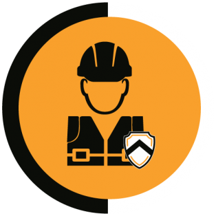 Icon8.1